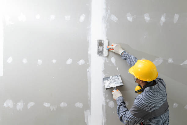 Best Forensic Mold Investigation  in Fate, TX