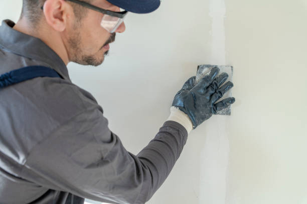 Trusted Fate, TX Mold Removal Experts