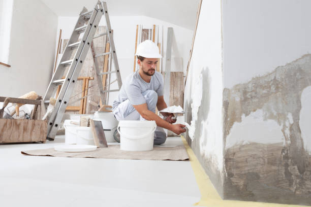 Best Industrial Mold Remediation  in Fate, TX